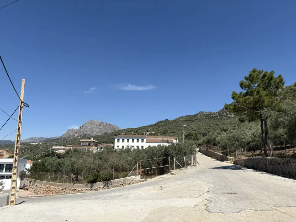Entrada a Mondrón con olivares y la sierra al fondo