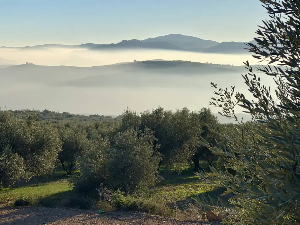 Mar de nubes sobre el valle visto desde los olivares de Mondrón, con la sierra al fondo