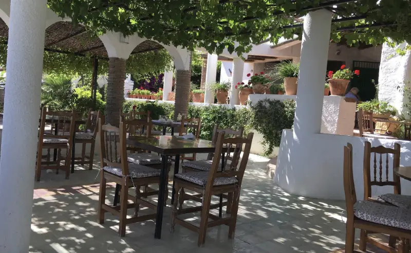 Terraza bajo el emparrado del restaurante El Cañuelo