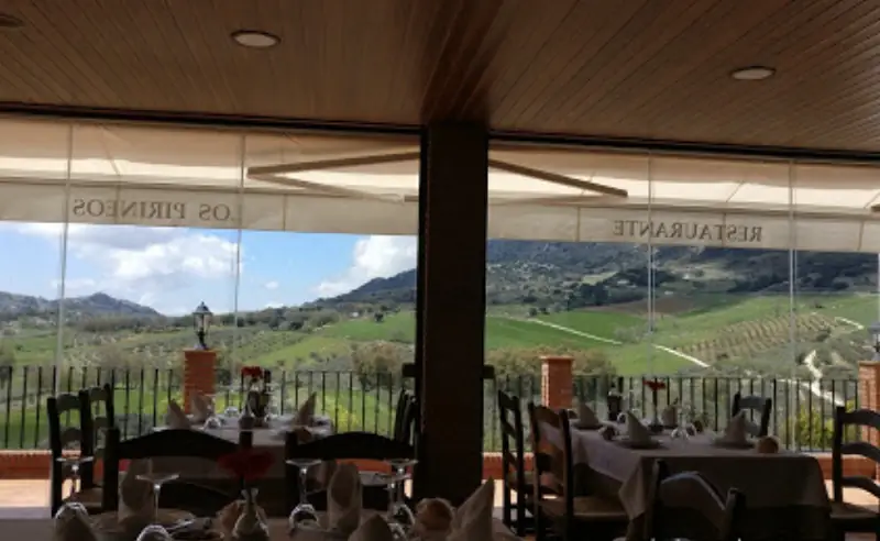Comedor acristalado del restaurante Los Pirineos con vistas a los campos