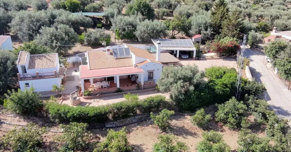 Vista aérea de la casa rural Villa Vilo con su piscina entre olivos
